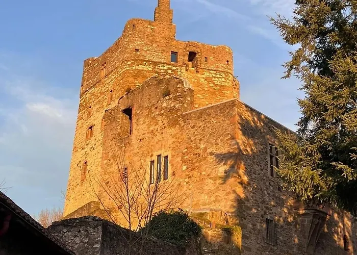 Burg Hermannstein - Rittersaal